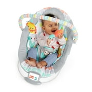 Bright Starts Whimsical Wild Vibrating Baby Bouncer Seat and Rocker